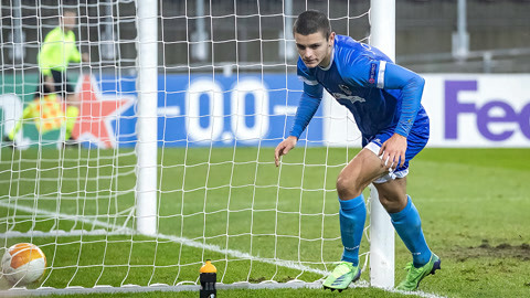 与涅曼的冠 与涅曼的冠